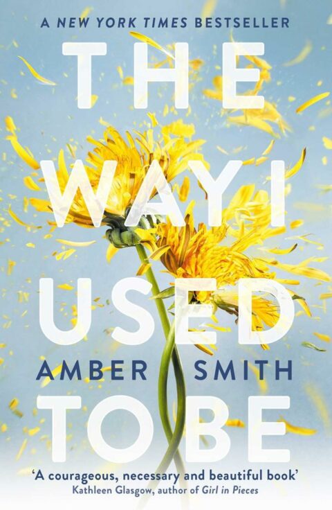 Amber Smith: The Way I Used to Be The Way I Used to Be von Amber Smith