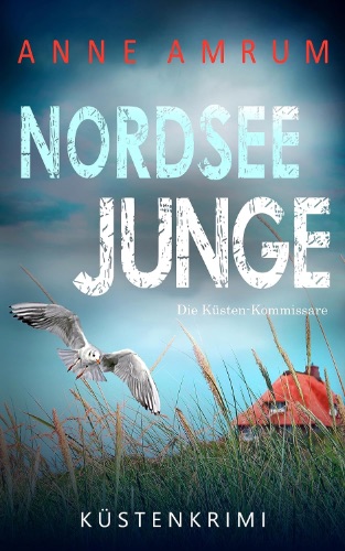 Nordsee Junge von Anne Amrum
