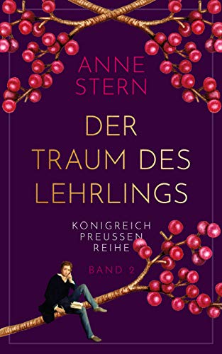 Der Traum des Lehrlings von Anne Stern