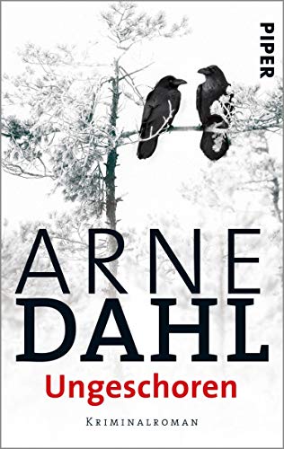 Ungeschoren von Arne Dahl