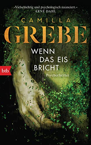 Wenn das Eis bricht von Camilla Grebe