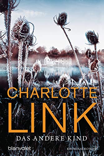 Das andere Kind von Charlotte Link