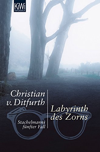 Labyrinth des Zorns von Christian v. Ditfurth