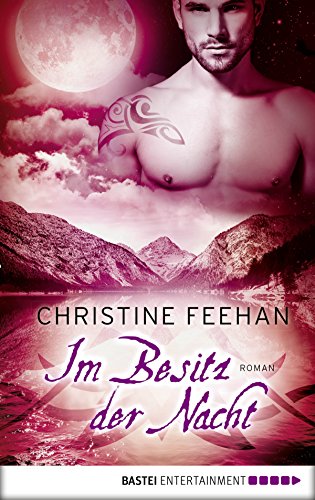 Im Besitz der Nacht von Christine Feehan