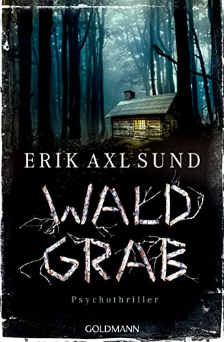 Waldgrab von Erik Axl Sund