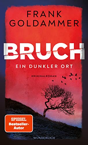 Ein dunkler Ort von Frank Goldammer