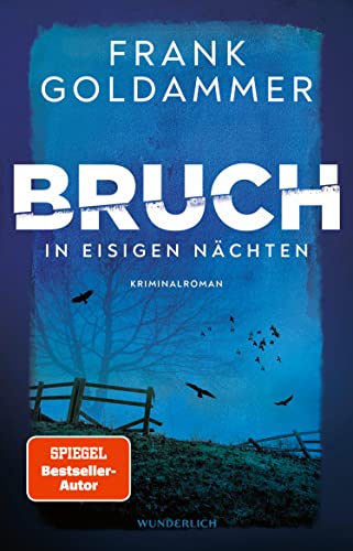 In eisigen Nächten von Frank Goldammer