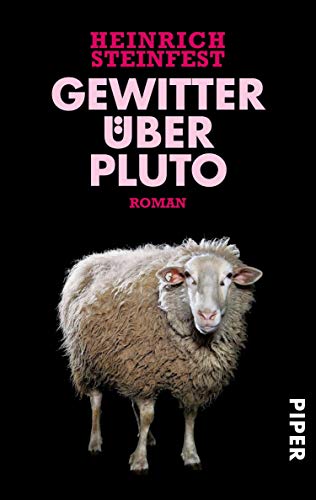 Gewitter über Pluto von Heinrich Steinfest