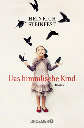 Das himmlische Kind von Heinrich Steinfest
