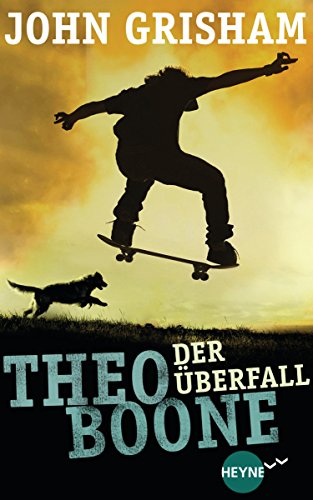 Theo Boone - Der Überfall von John Grisham