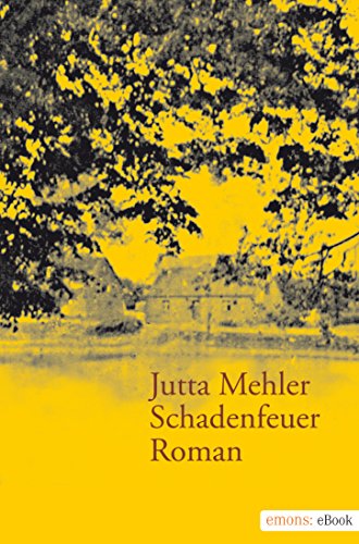 Jutta Mehler: Schadenfeuer