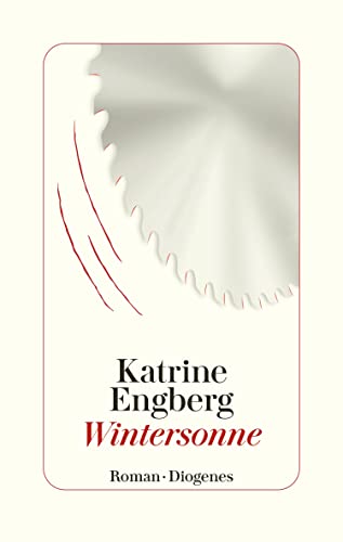 Katrine Engberg: Wintersonne