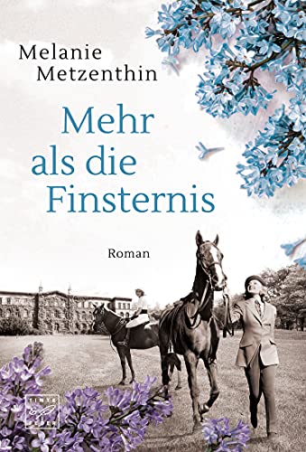 Mehr als die Finsternis von Melanie Metzenthin