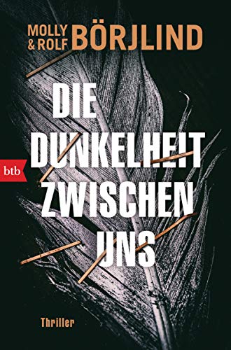 Die Dunkelheit zwischen uns von Molly und Rolf Börjlind