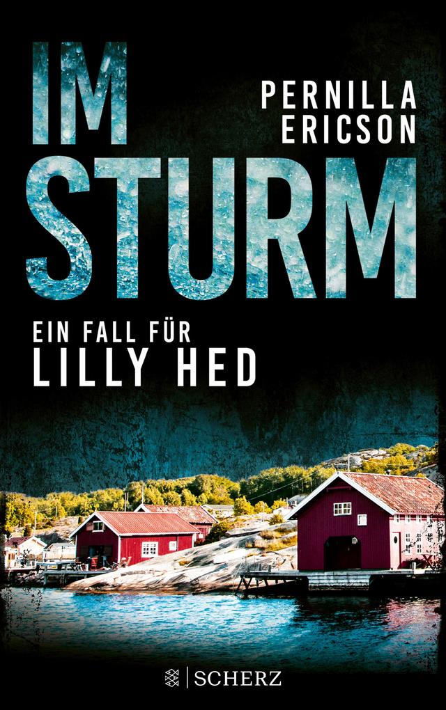 Im Sturm von Pernilla Ericson