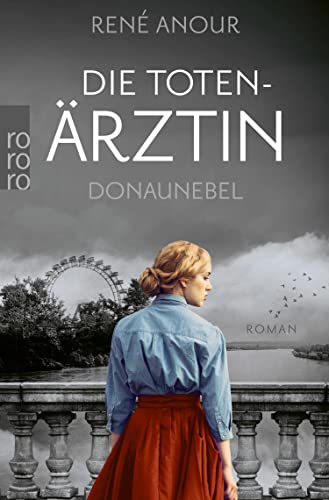 Donaunebel von René Anour