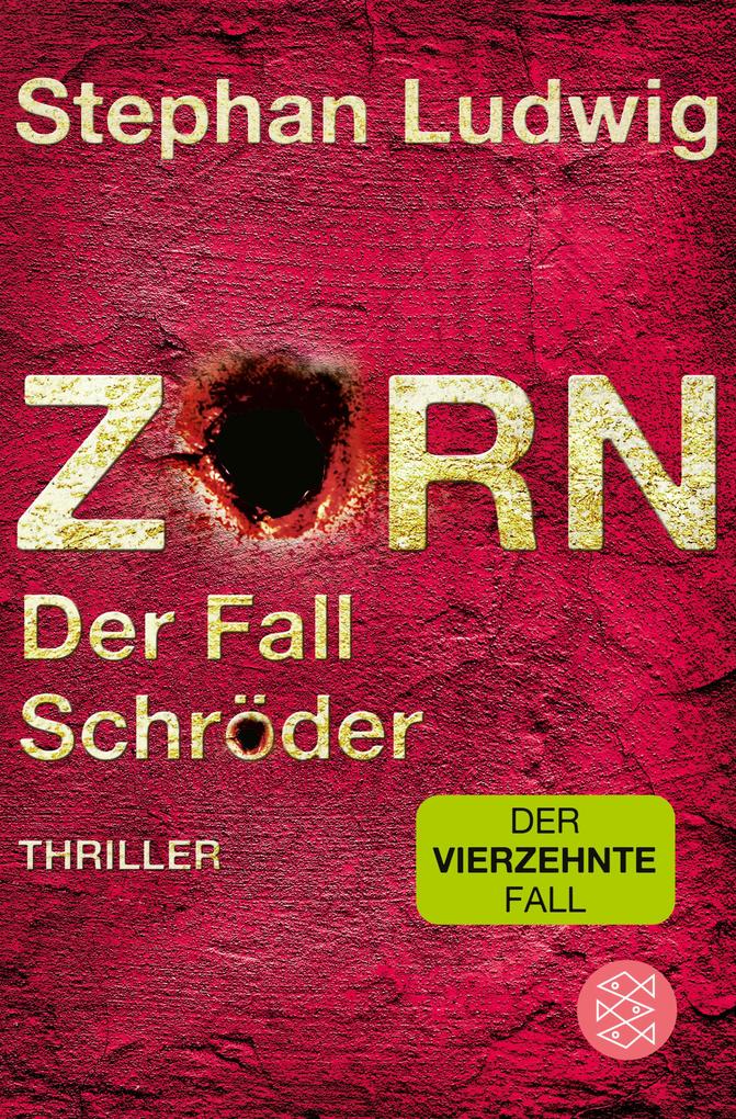 Der Fall Schröder von Stephan Ludwig