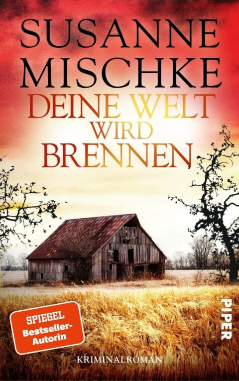 Susanne Mischke: Deine Welt wird brennen Deine Welt wird brennen von Susanne Mischke