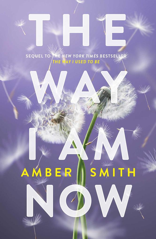 Romane von Amber Smith in der richtigen Reihenfolge