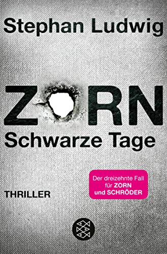 Rezension zu dem Thriller „Zorn-Schwarze Tage“ von Stephan Ludwig