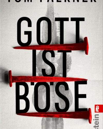 Rezension zu dem Thriller „Gott ist böse“ von Tom Falkner